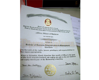Fake Diploma With Flat Fused Gold Foil Seals